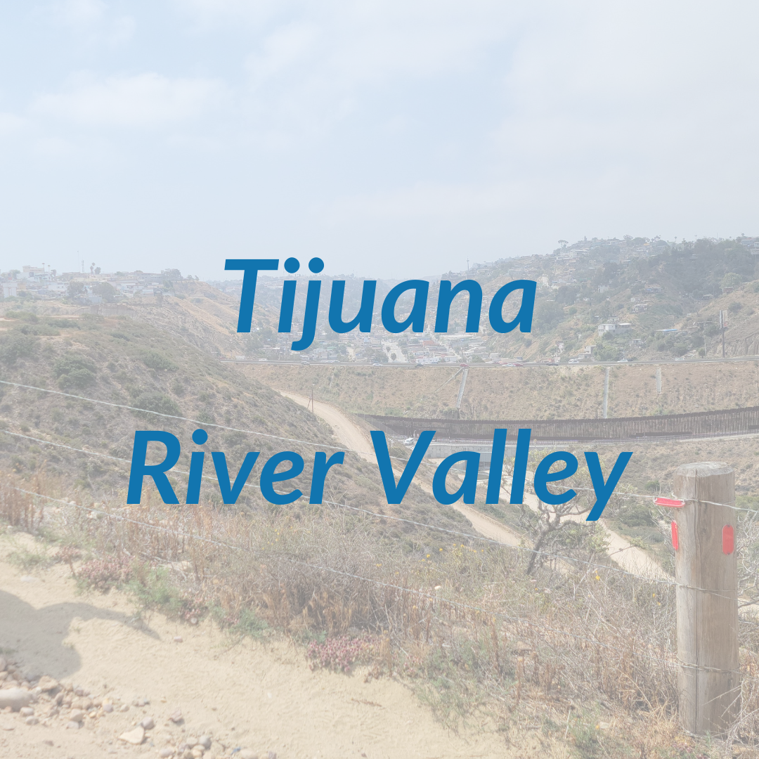 Tijuana River Valley - 1