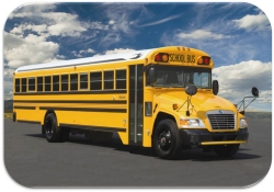 School Buses