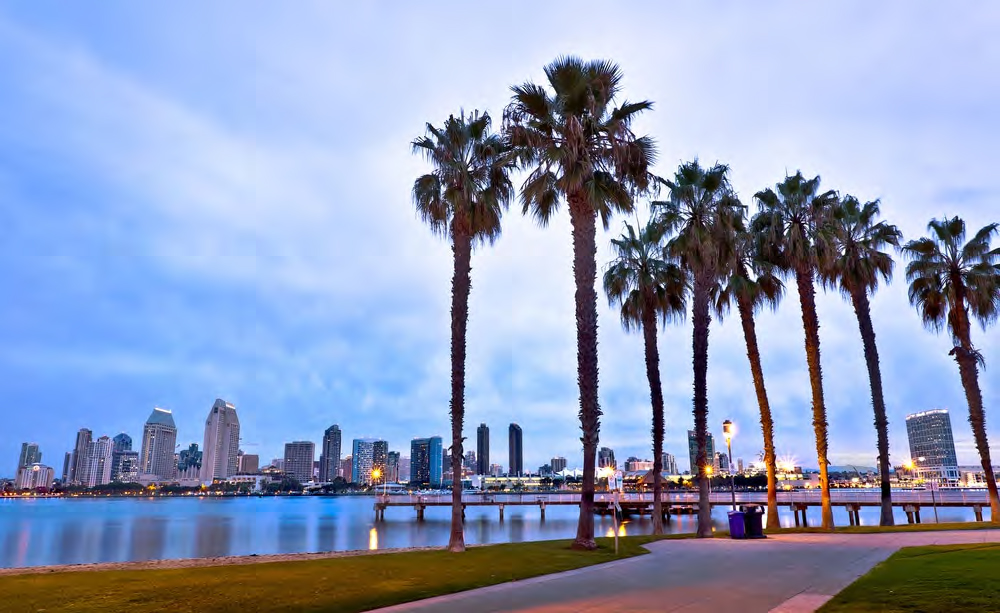 San Diego Skyline
